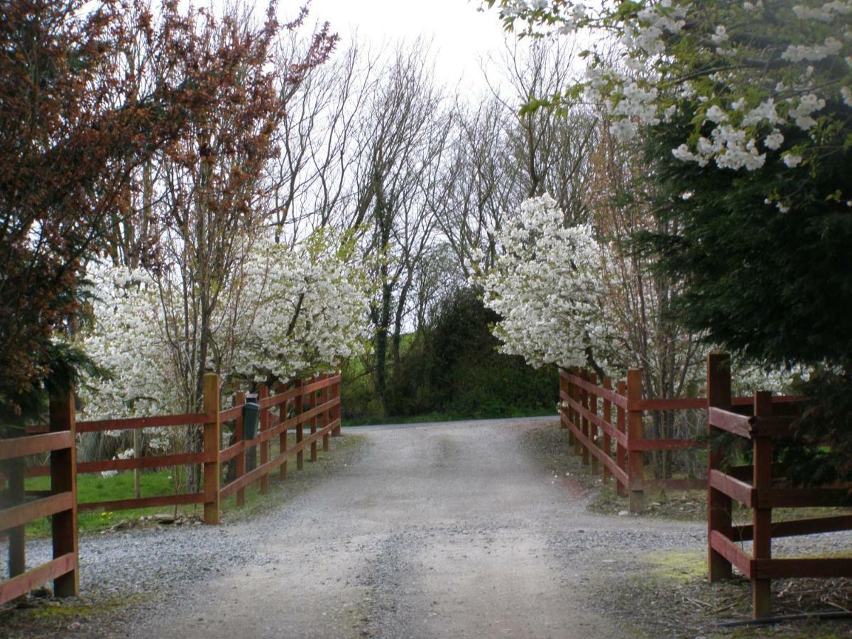Killurin Lodge Ballyvolane Exterior photo